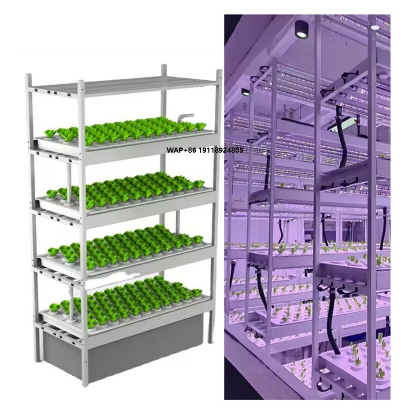 Hydroponic Farming Agriculture - Sistem Menara Hidroponik Pertanian Vertikal Rak