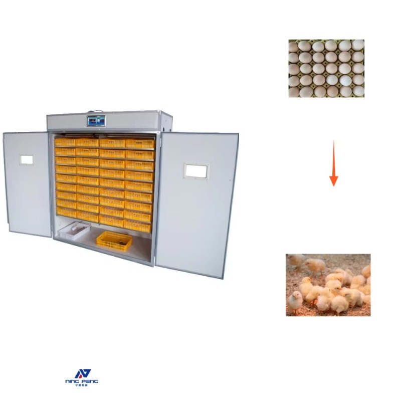 Poultry Incubator - Mesin Inkubator Telur Unggas Tenaga Surya