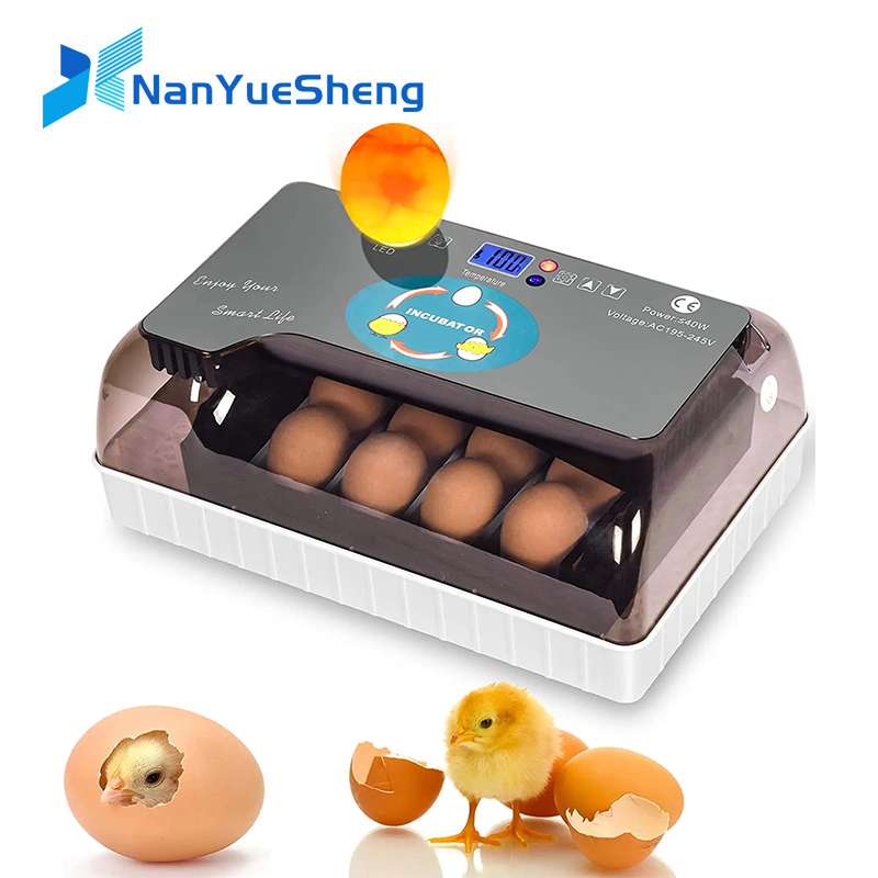 Quail Egg Incubator - Otomatis HHD Terbaik Digital 12 Telur