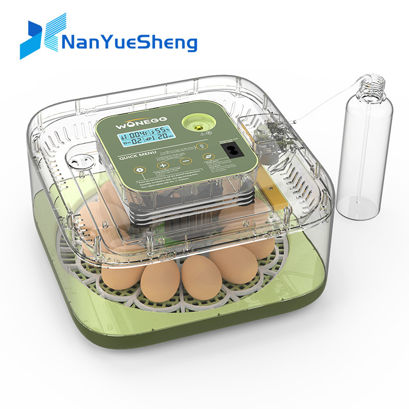 Quail Egg Incubator - Baru 12 Mesin Penetasan Telur Ayam
