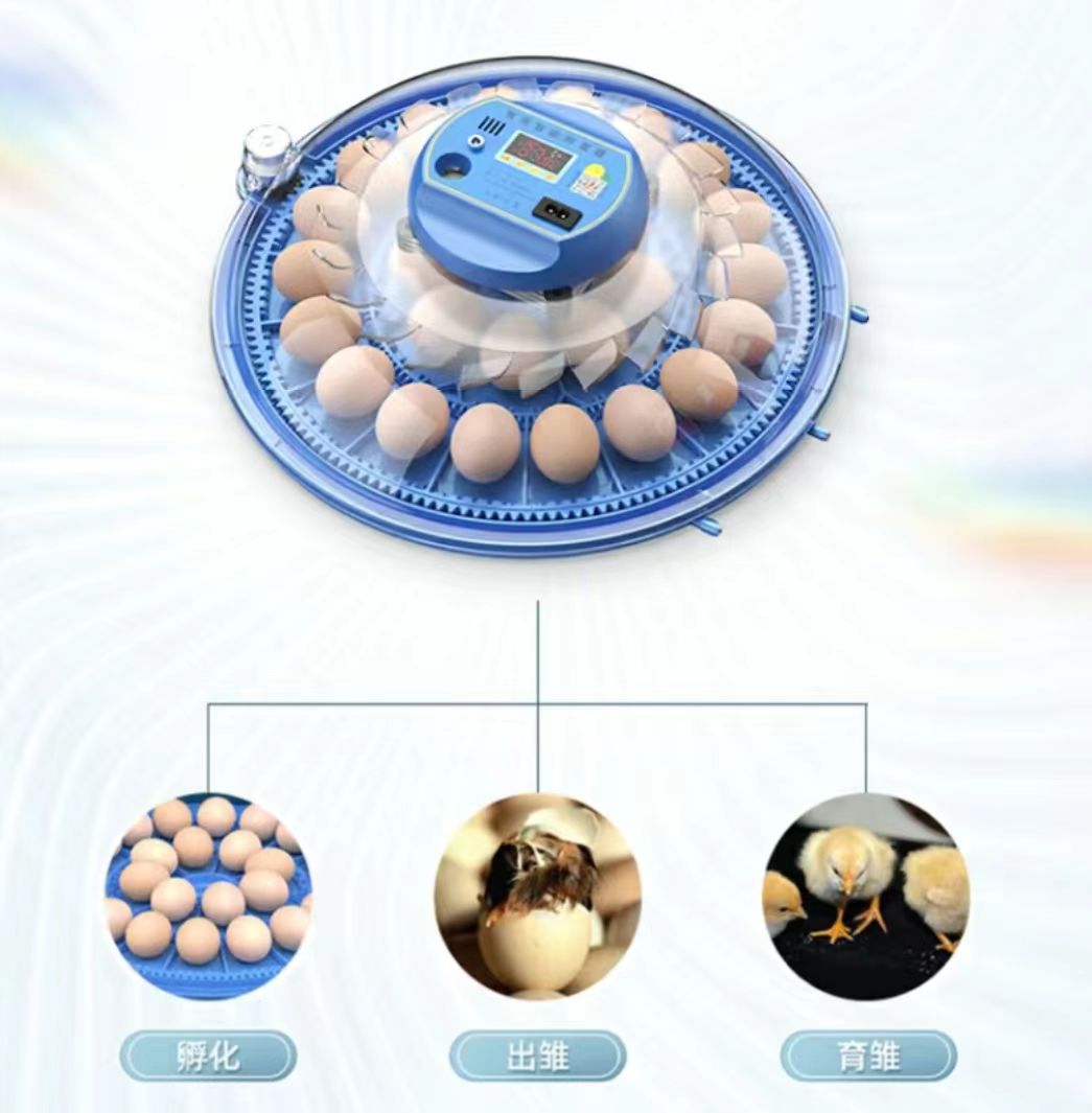 Poultry Incubator - 20/24/36/56/96/112 Telur Inkubator Telur Ayam Inkubator