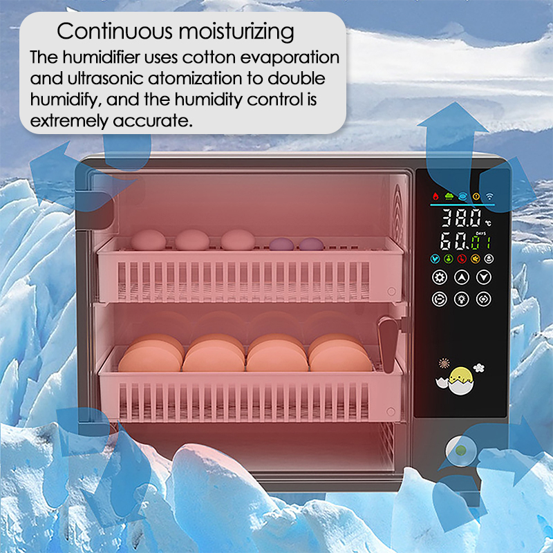 Inkubator Telur Otomatis 24 Bu - Quail Egg Incubator ulasan dan harga