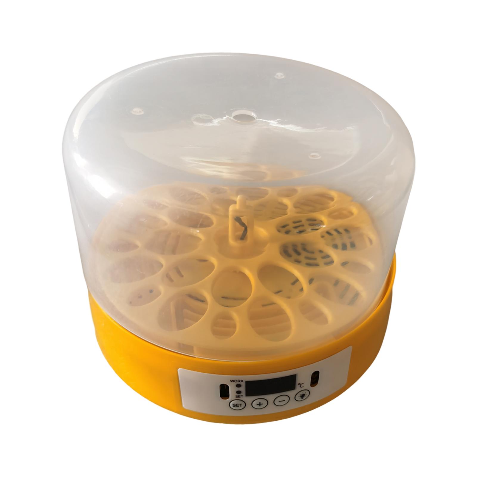 Mesin Penetas Telur Otomatis d - Quail Egg Incubator ulasan dan harga