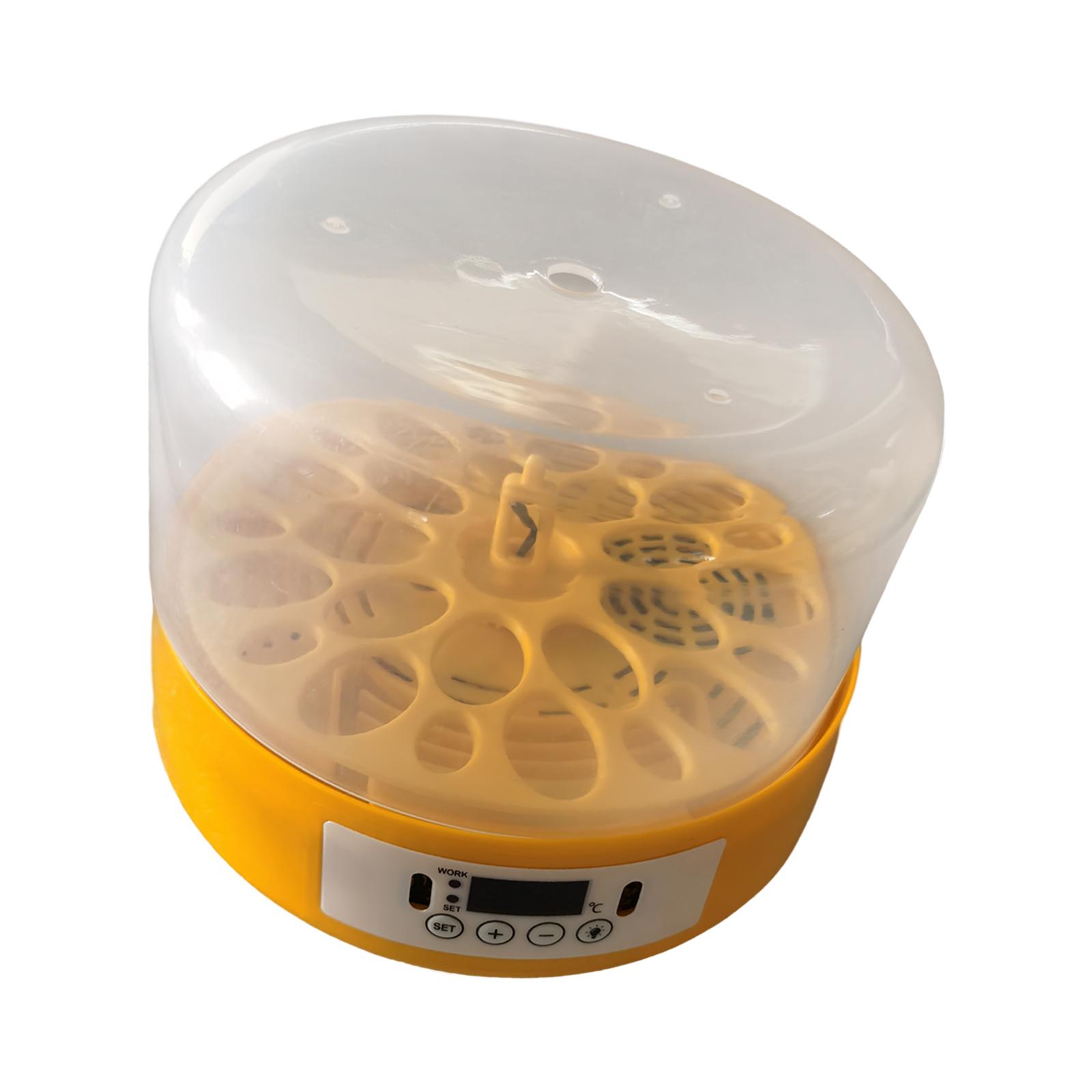 Mesin Penetas Telur Otomatis d - Quail Egg Incubator ulasan dan harga