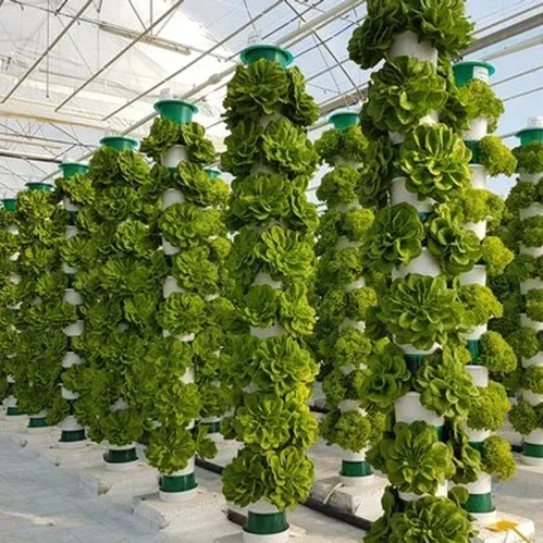 Sistem pertanian vertikal ruma - Hydroponic Farming Agriculture ulasan dan harga