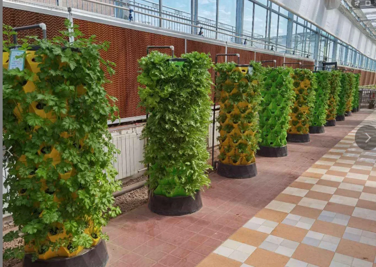 Sistem pertanian vertikal ruma - Hydroponic Farming Agriculture ulasan dan harga