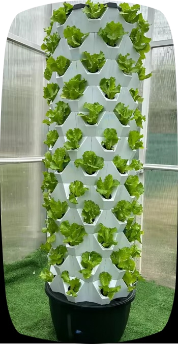 Sistem Menanam Hidroponik Bert - Hydroponic Farming Agriculture ulasan dan harga