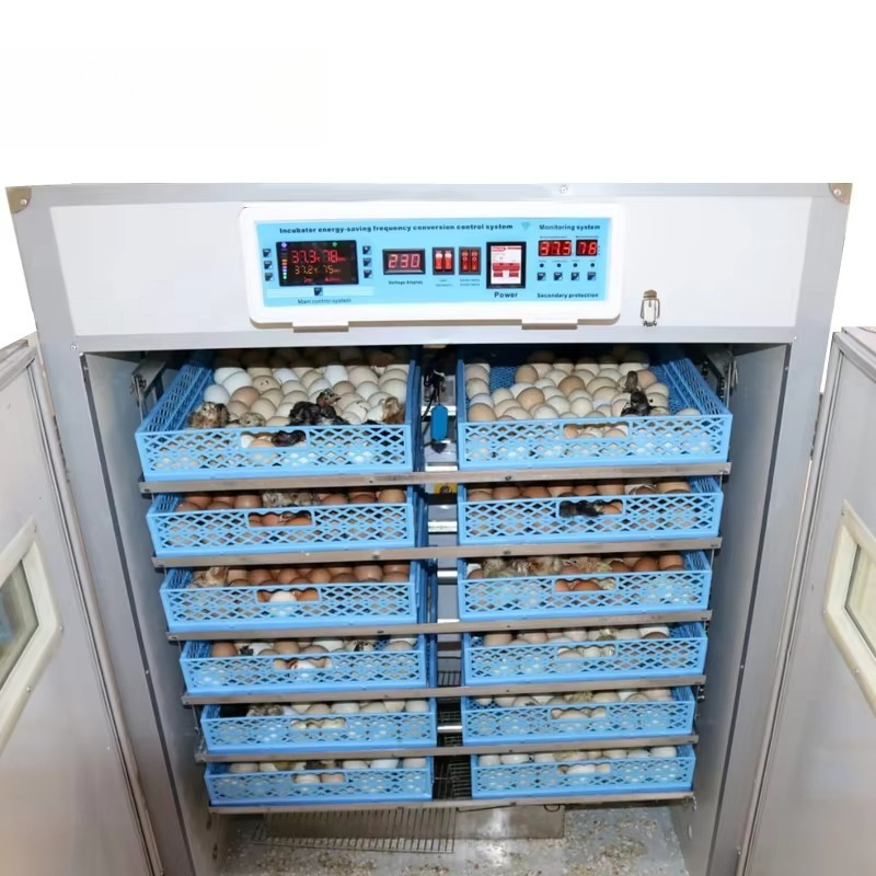 Inkubator Telur Industri 528 1 - Poultry Incubator ulasan dan harga