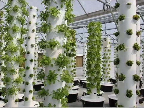 Sistem pertanian vertikal hidr - Hydroponic Farming Agriculture ulasan dan harga