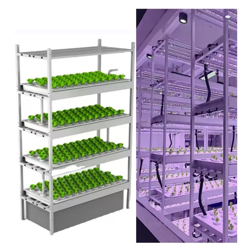 Peralatan Pertanian Rumah Kaca - Hydroponic Farming Agriculture ulasan dan harga