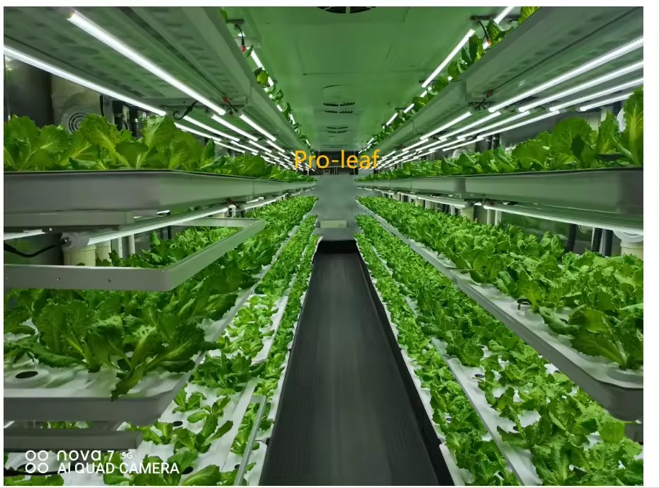 Peralatan Pertanian Rumah Kaca - Hydroponic Farming Agriculture ulasan dan harga