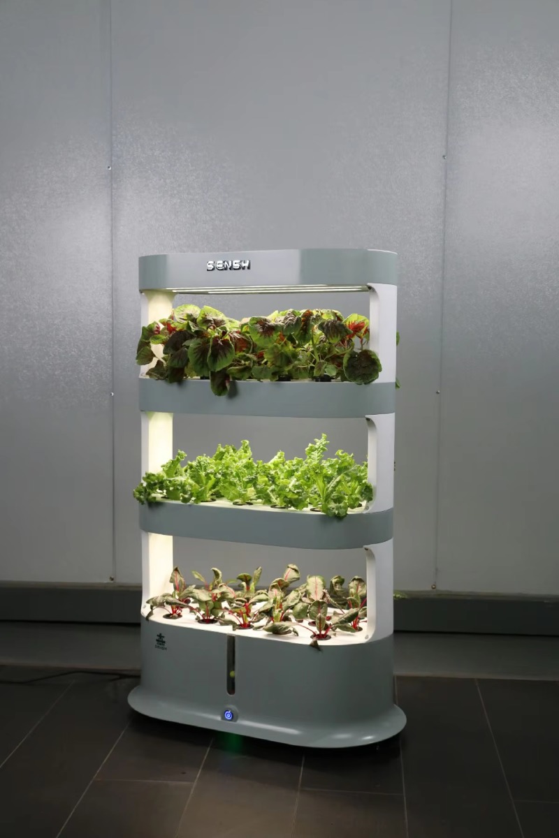 Peralatan Pertanian Hidroponik - Hydroponic Farming Agriculture ulasan dan harga