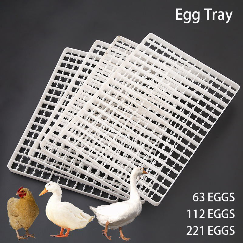 1 buah nampan telur untuk inku - Quail Egg Incubator ulasan dan harga