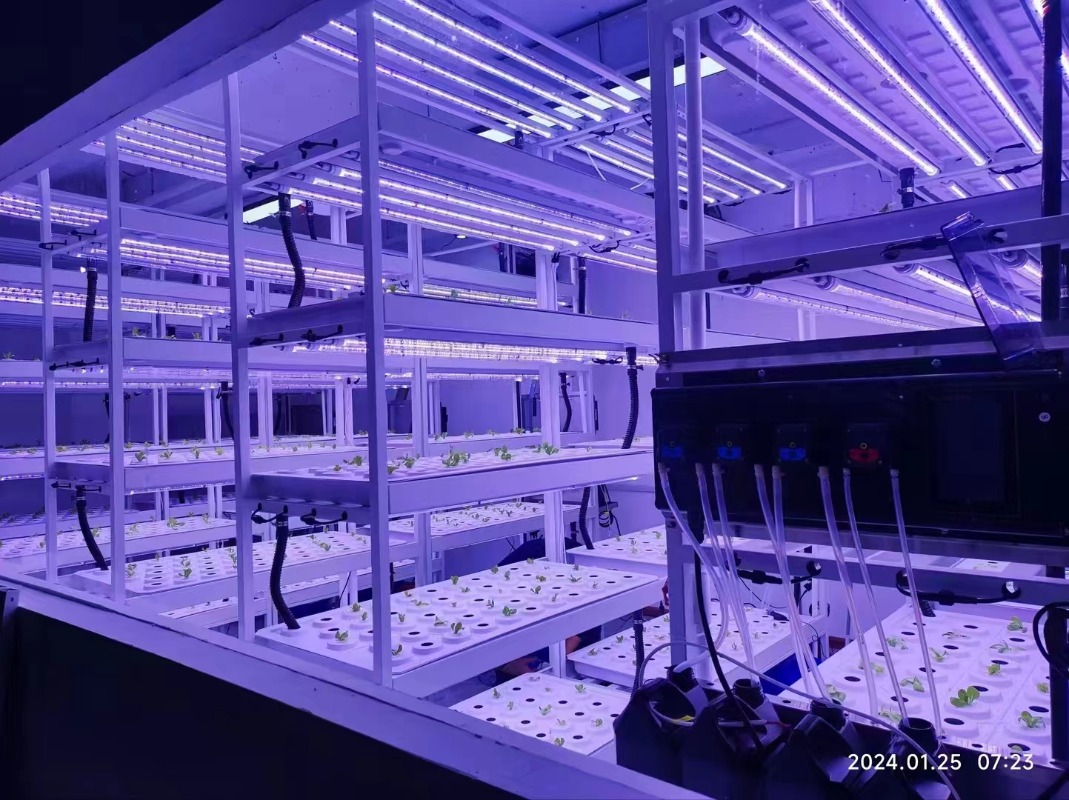 Sistem Menara Hidroponik Verti - Hydroponic Farming Agriculture ulasan dan harga