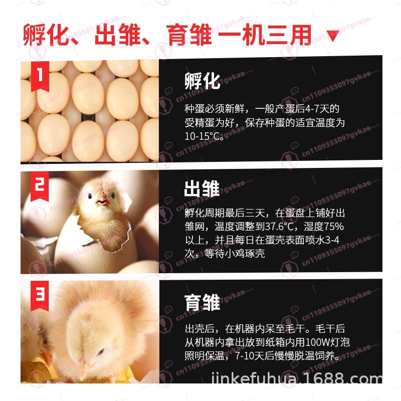 Inkubator Telur Rumah Tangga P - Poultry Incubator ulasan dan harga