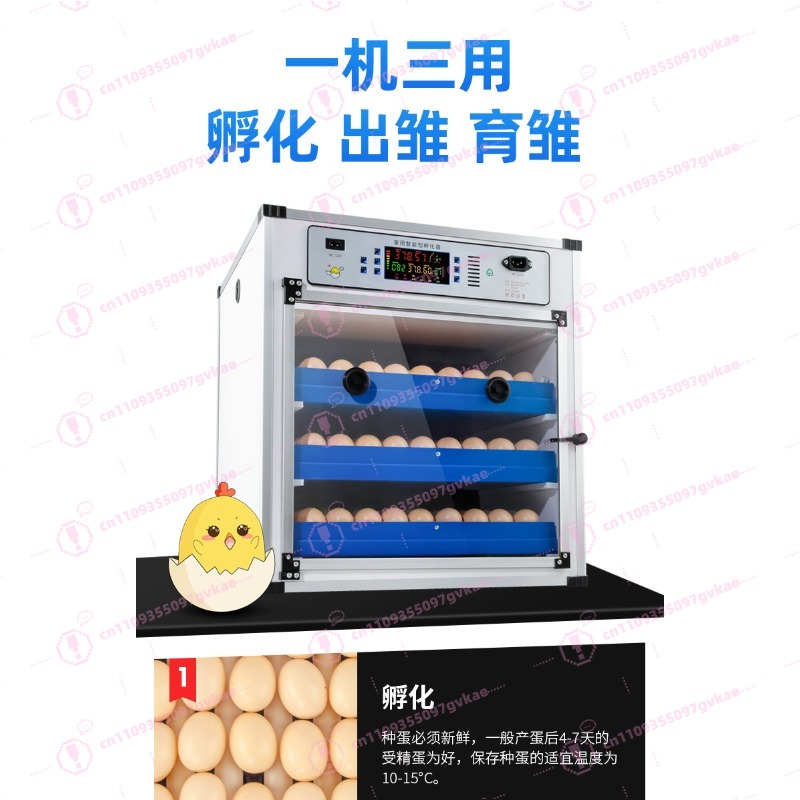 Inkubator Telur Rumah Tangga P - Poultry Incubator ulasan dan harga