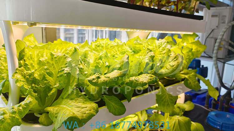 Mesin Pertanian untuk Menanam  - Farming Agriculture Equipment ulasan dan harga