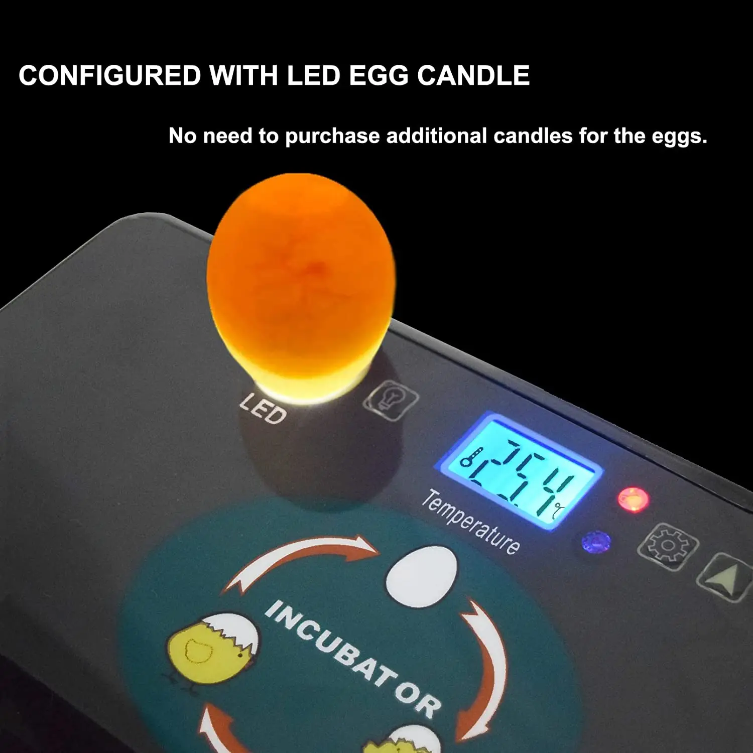 Otomatis HHD Terbaik Digital 1 - Quail Egg Incubator ulasan dan harga
