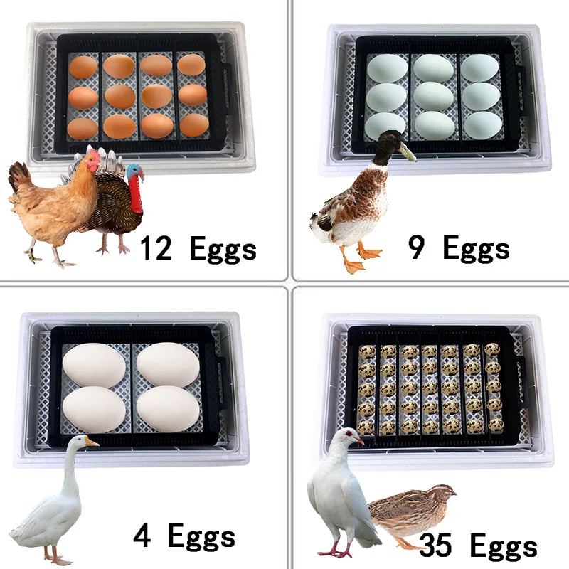 Otomatis HHD Terbaik Digital 1 - Quail Egg Incubator ulasan dan harga