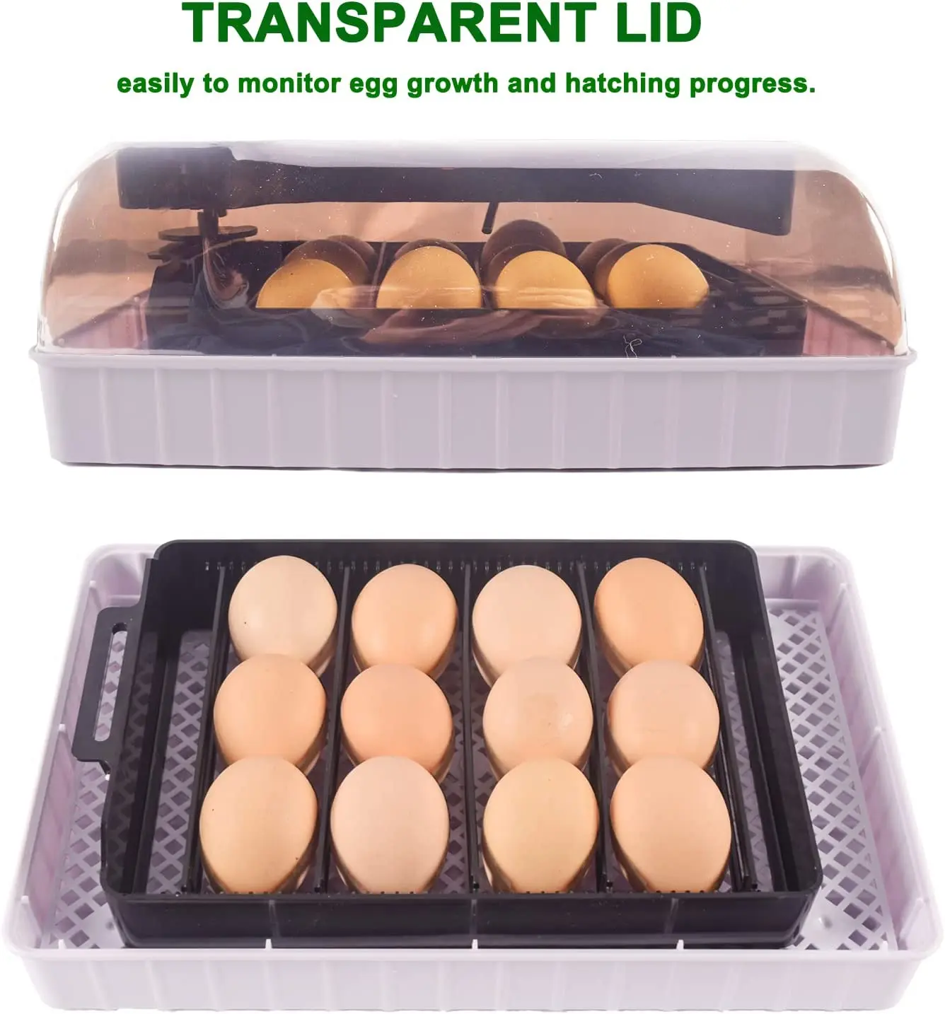 Otomatis HHD Terbaik Digital 1 - Quail Egg Incubator ulasan dan harga