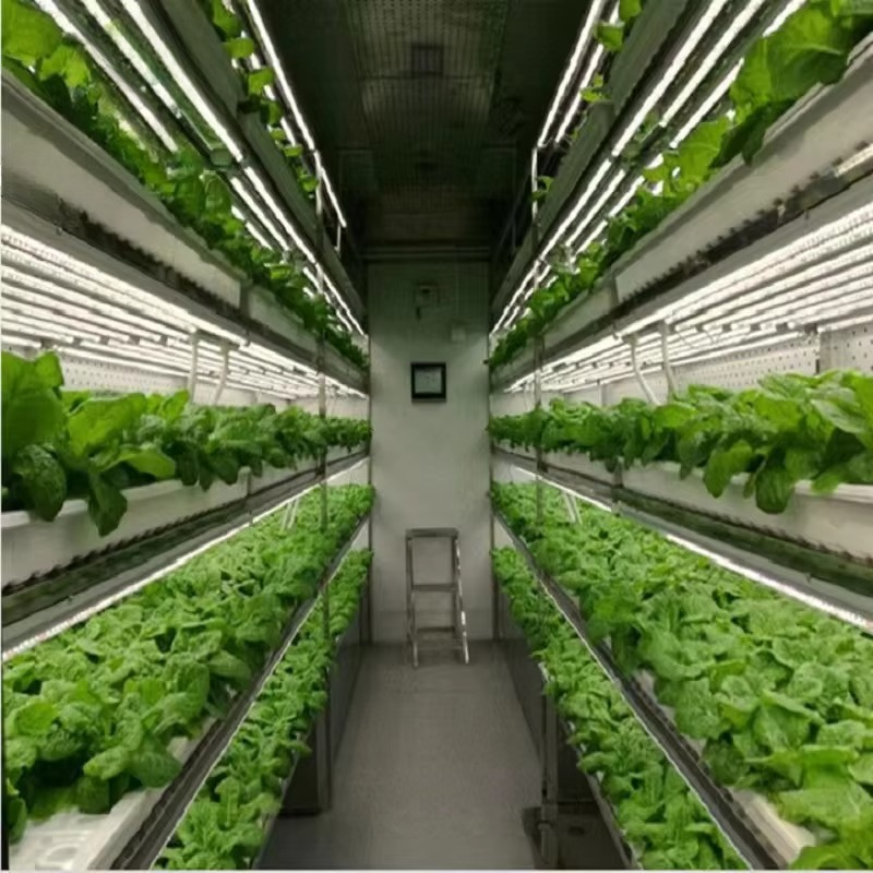 Sistem Kontainer Pertanian Hid - Hydroponic Farming Agriculture ulasan dan harga