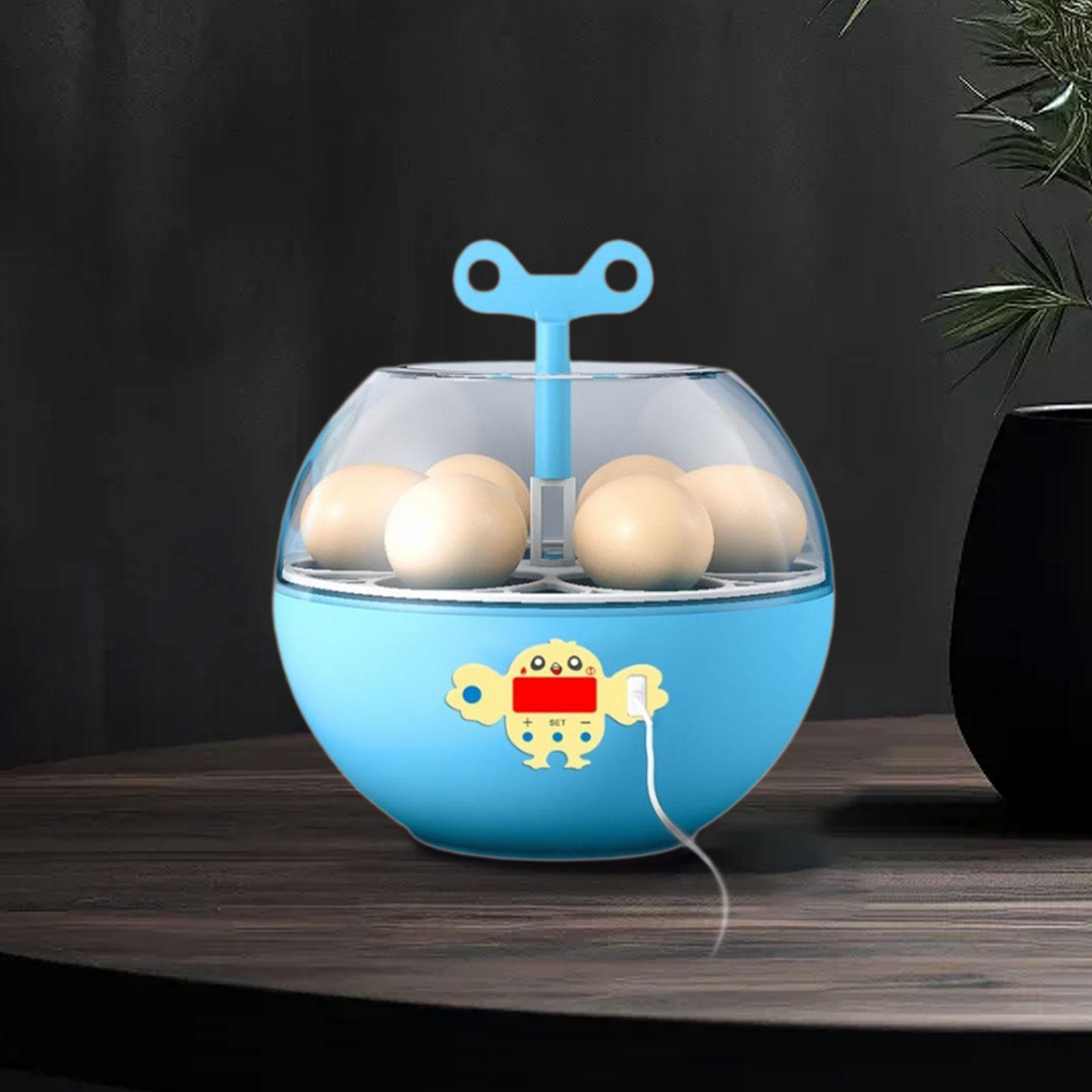 Inkubator Telur Mini 6 Telur,  - Quail Egg Incubator ulasan dan harga