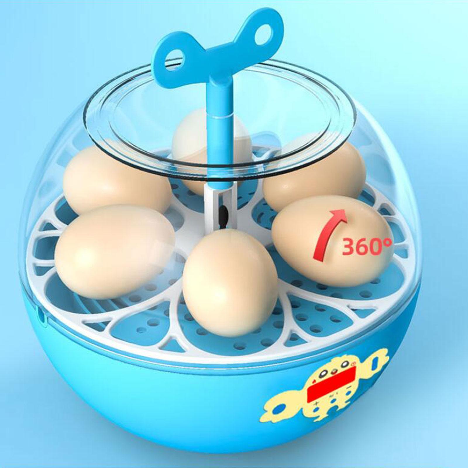 Inkubator Telur Mini 6 Telur,  - Quail Egg Incubator ulasan dan harga