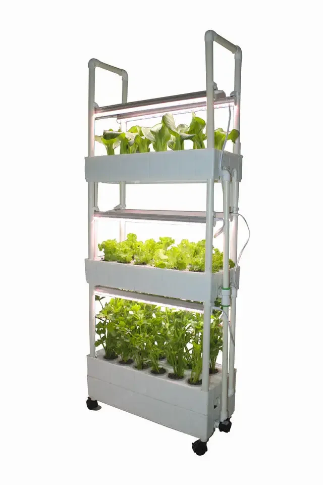 Rak hidroponik pertanian verti - Hydroponic Farming Agriculture ulasan dan harga