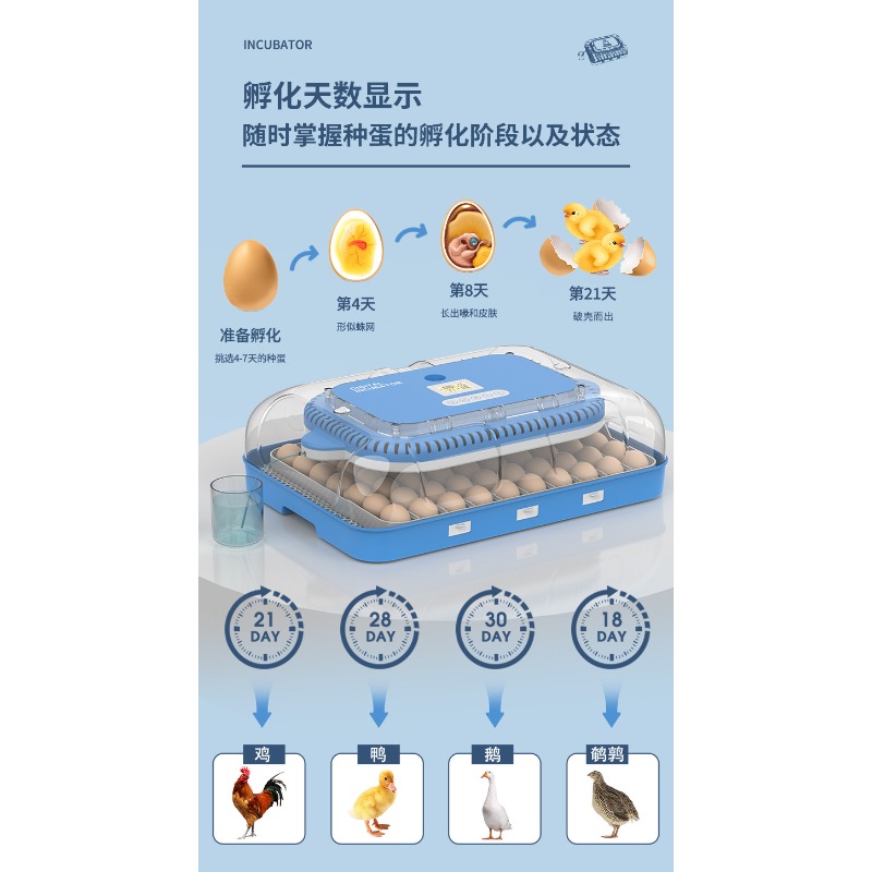 Inkubator Telur Otomatis denga - Poultry Incubator ulasan dan harga