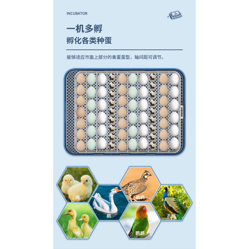 Inkubator Telur Otomatis denga - Poultry Incubator ulasan dan harga
