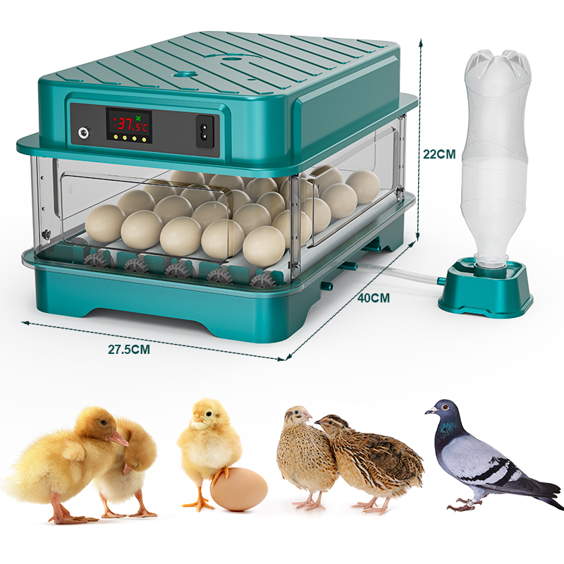 Inkubator Telur Otomatis Penuh - Quail Egg Incubator ulasan dan harga