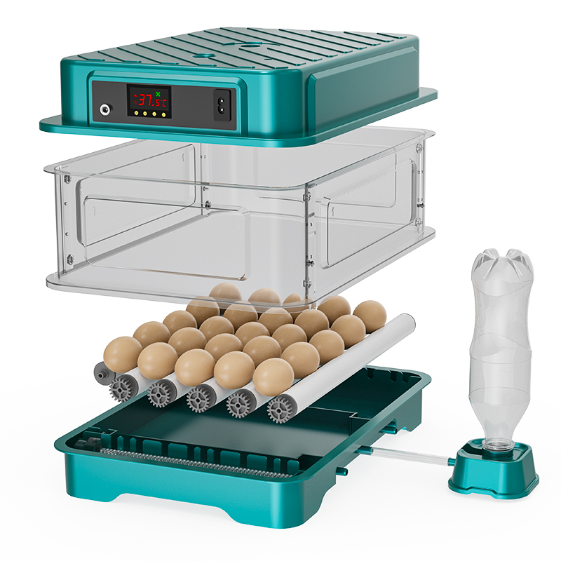 Inkubator Telur Otomatis Penuh - Quail Egg Incubator ulasan dan harga