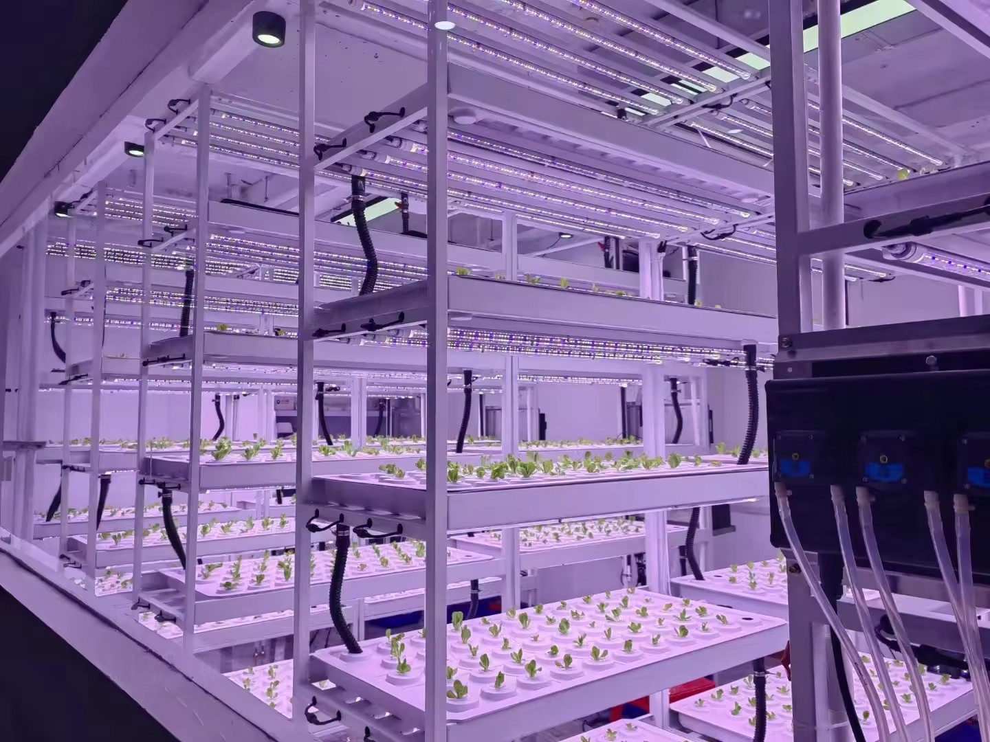 Sistem Menara Hidroponik Perta - Hydroponic Farming Agriculture ulasan dan harga