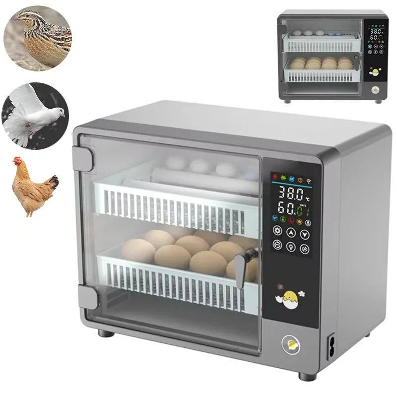 Mesin Penetas Telur Otomatis P - Poultry Incubator ulasan dan harga