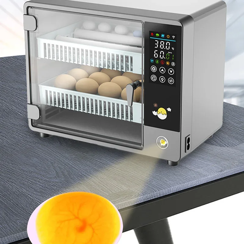 Mesin Penetas Telur Otomatis P - Poultry Incubator ulasan dan harga