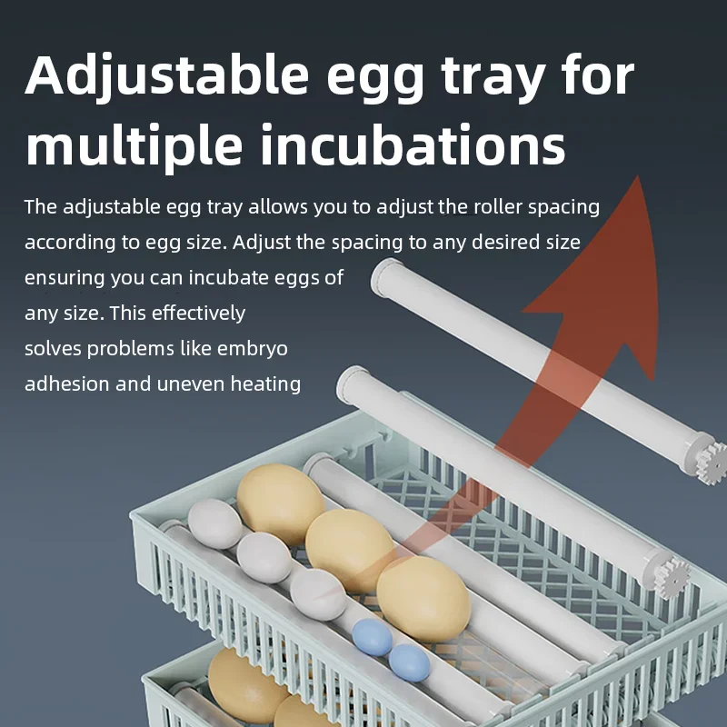 Mesin Penetas Telur Otomatis P - Poultry Incubator ulasan dan harga