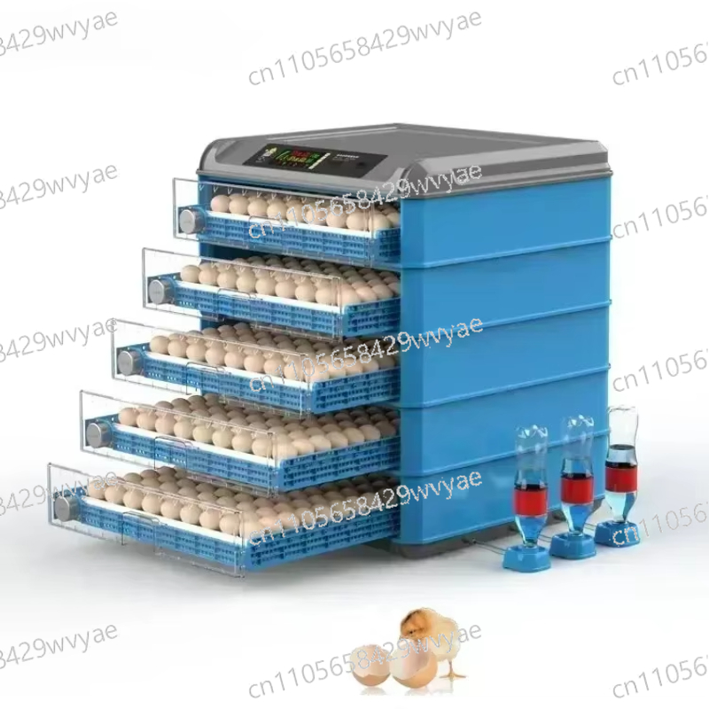 Mesin Penetas Telur Otomatis P - Poultry Incubator ulasan dan harga