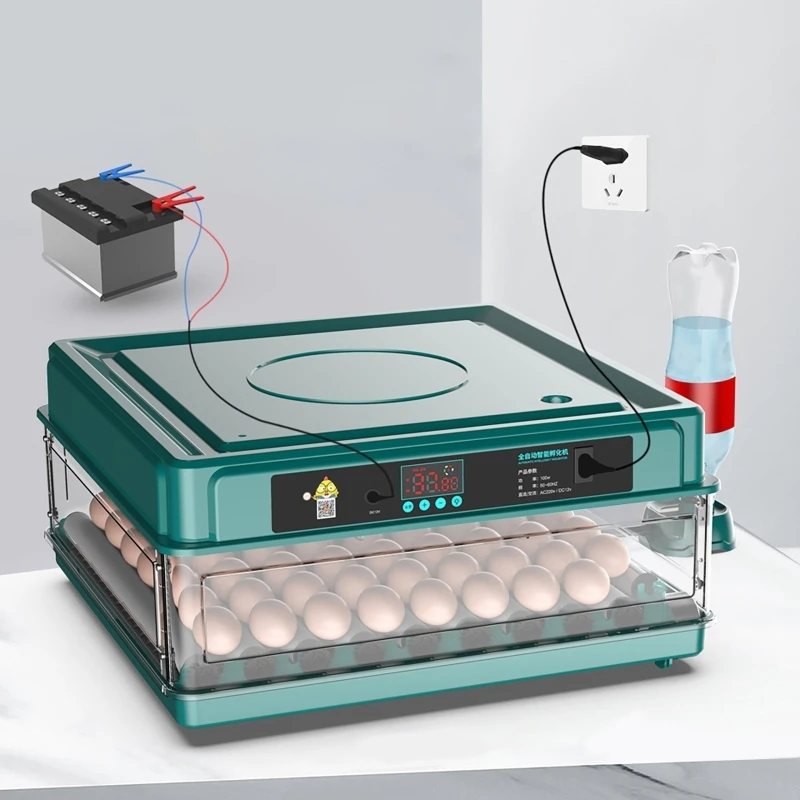 Inkubator 12 24 38 telur kontr - Quail Egg Incubator ulasan dan harga