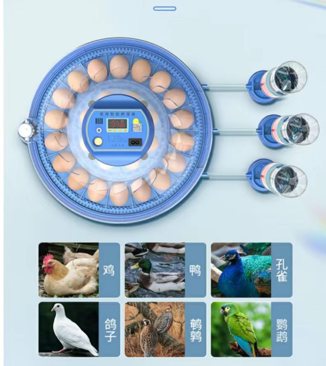 20/24/36/56/96/112 Telur Inkub - Poultry Incubator ulasan dan harga