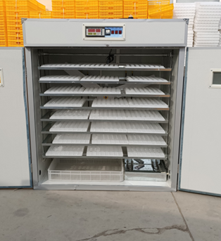 20/24/36/56/96/112 Telur Inkub - Poultry Incubator ulasan dan harga